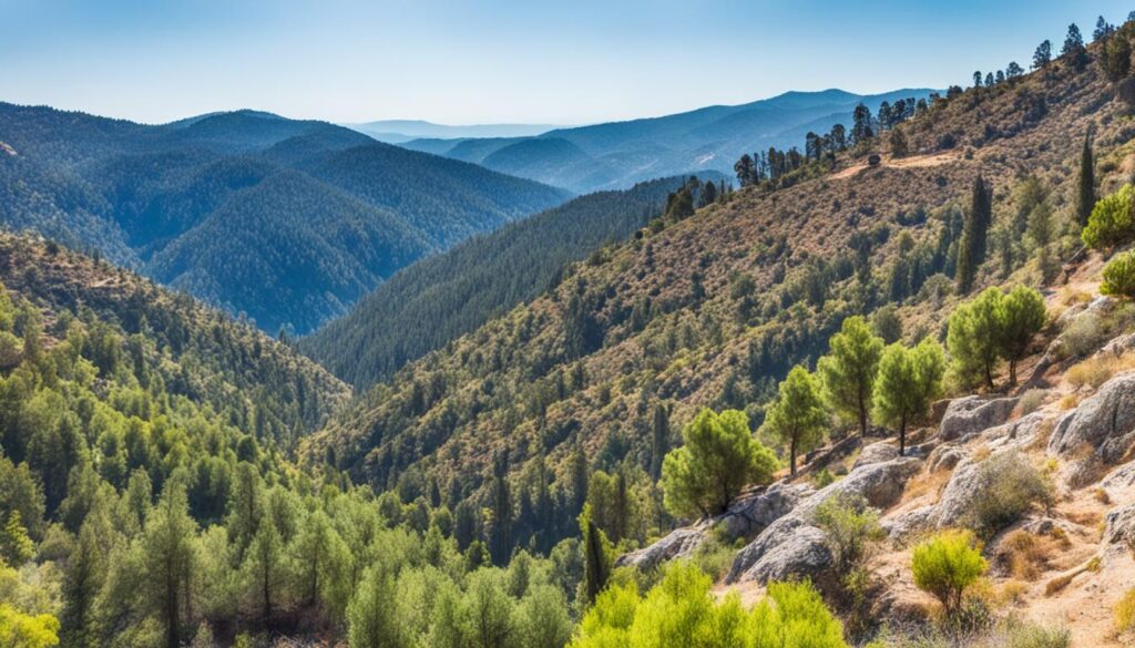 Wanderrouten Troodos-Gebirge Zypern